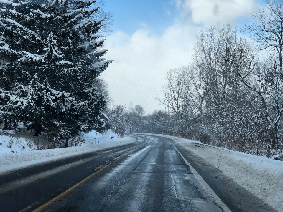Plowed road through snowy trees on a sunny winter day